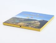 Promotional 512MB Memory 7 inch HD LCD Video Brochure With Rechargeable Battery