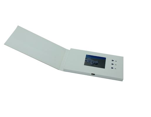 Lithium Battery Lcd Video Card , LCD Business Card 8GB 90*54MM USB Support AVI Video