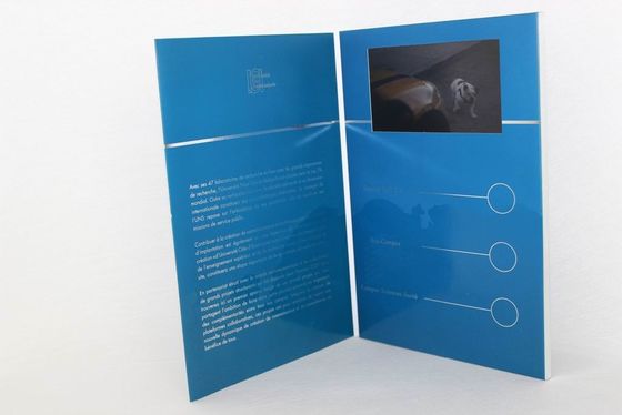 2.4" / 4.3 " / 5" / 7" / 10.1" video mailer with built - in speaker , TFT screen lcd brochures with 512MB memory